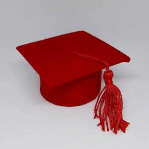 Bomboniere Sacchettini Artigianali per Laurea - immagine 29